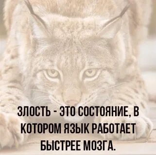 Хочешь узнать кто это