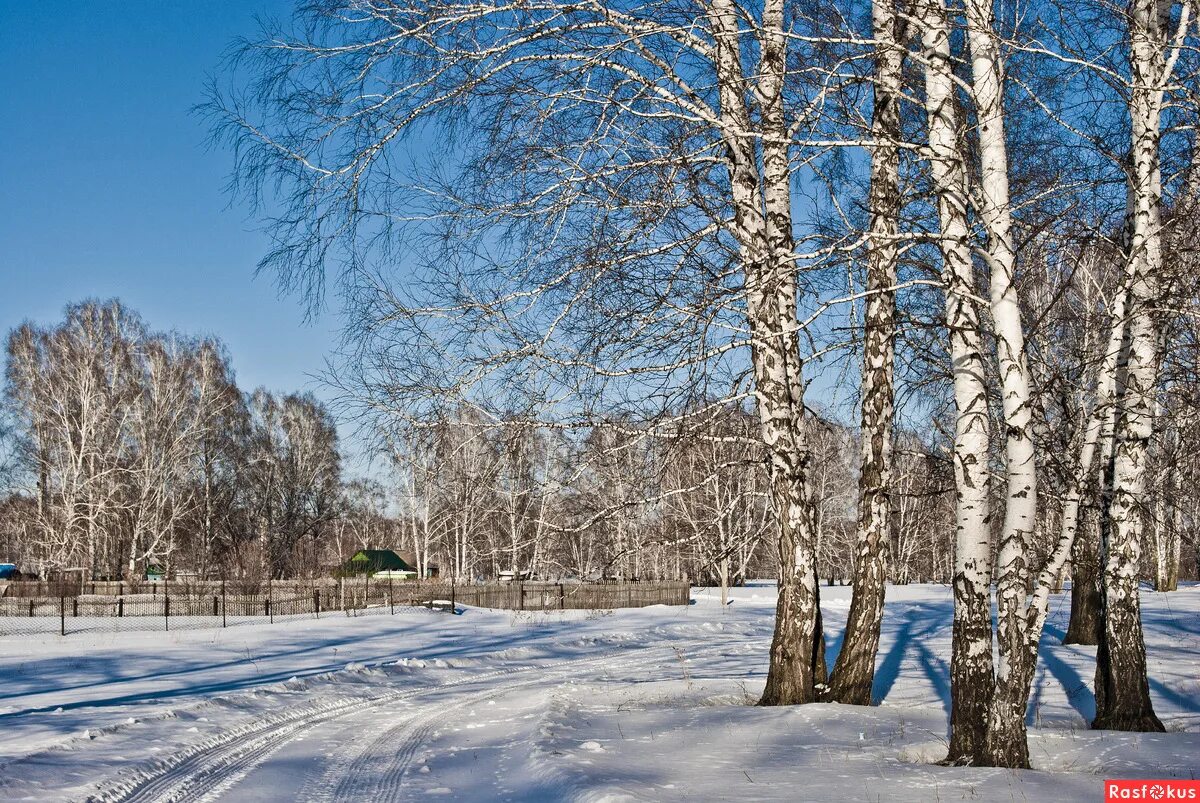 Март village. Зимняя Околица деревни. Деревенская Околица зима. За околицей зимой. Деревенская Околица зимой.