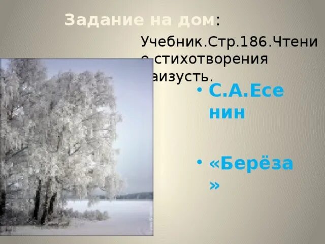 Урок есенин береза 2 класс. Стихотворение есенина белая береза. , берез. Партитура к стихотворению есенина береза. Урок есенин береза 2 класс.