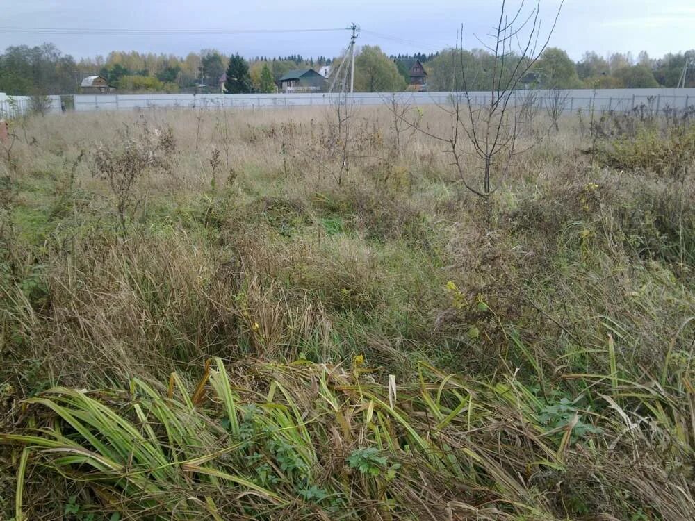 Деревня доброволец. Деревня доброволец. Деревня доброволец. Поле 600 соток. Краснопольский спк сунский район.