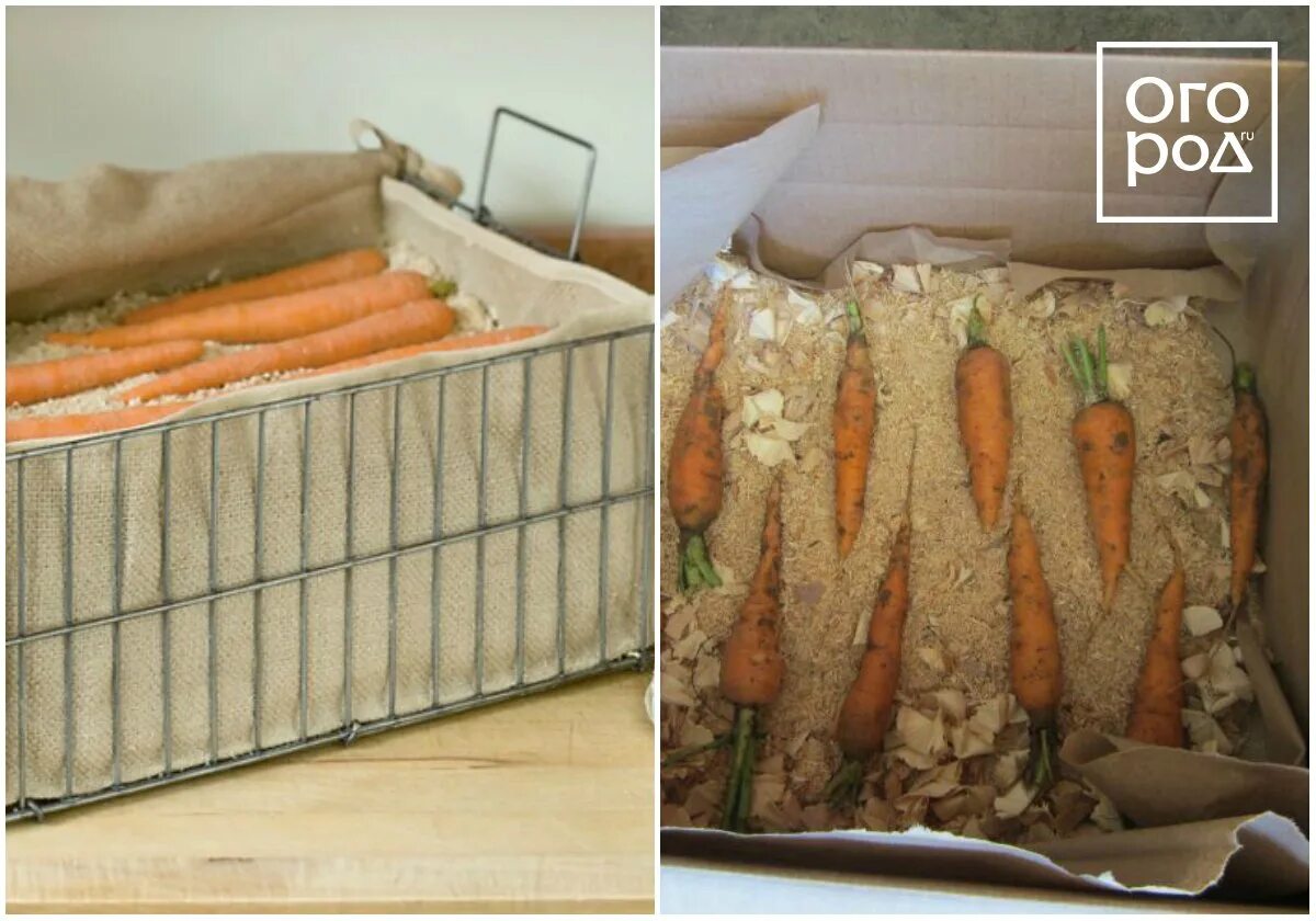 Как можно использовать опилки. Ящик для хранения моркови. Ящик для хранения моркови в погребе. Утепленные ящики для хранения картофеля. Ящик для хранения моркови в песке.