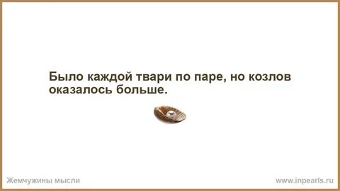 Оказалась более