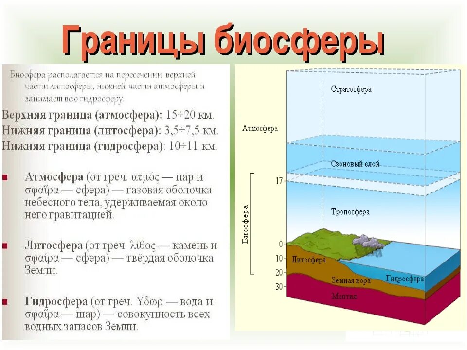 Стратосфера литосфера Тропосфера. Литосфера атмосфера гидросфера Биосфера стратосфера. Атмосфера гидросфера Тропосфера. Состав и границы биосферы. Смерч в какой географической оболочке земли зарождается