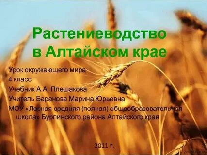 Наш край 4 класс плешаков