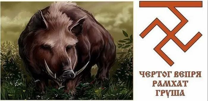Славянские чертоги вепрь. Чертог вепря покровитель рамхат. Дикий вепрь славянский гороскоп. Славянские чертоги. Славянский календарь животных по годам.