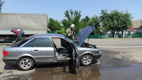 Медвенка сегодня курск