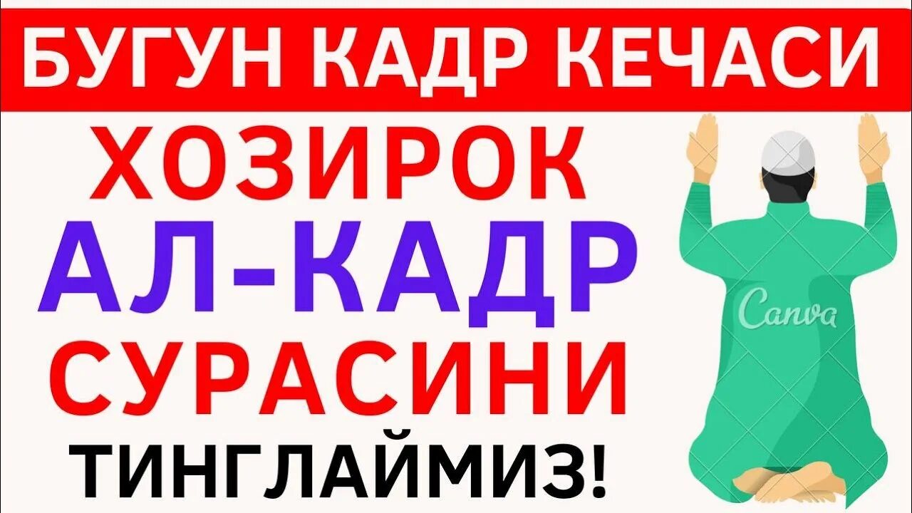 Кадр кечаси укиладиган сура. Кадр кечаси укиладиган дуо. Лайлак тур Кадр. Лайлак тур Кадр дуоси. Кадр сураси.