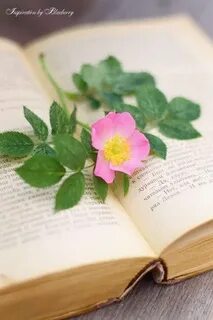 Beautiful book