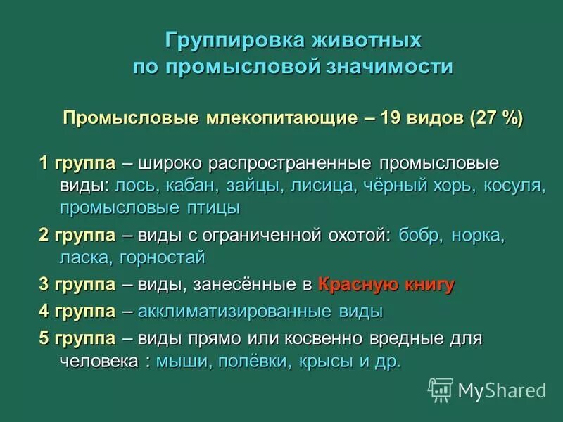 Группировки животных