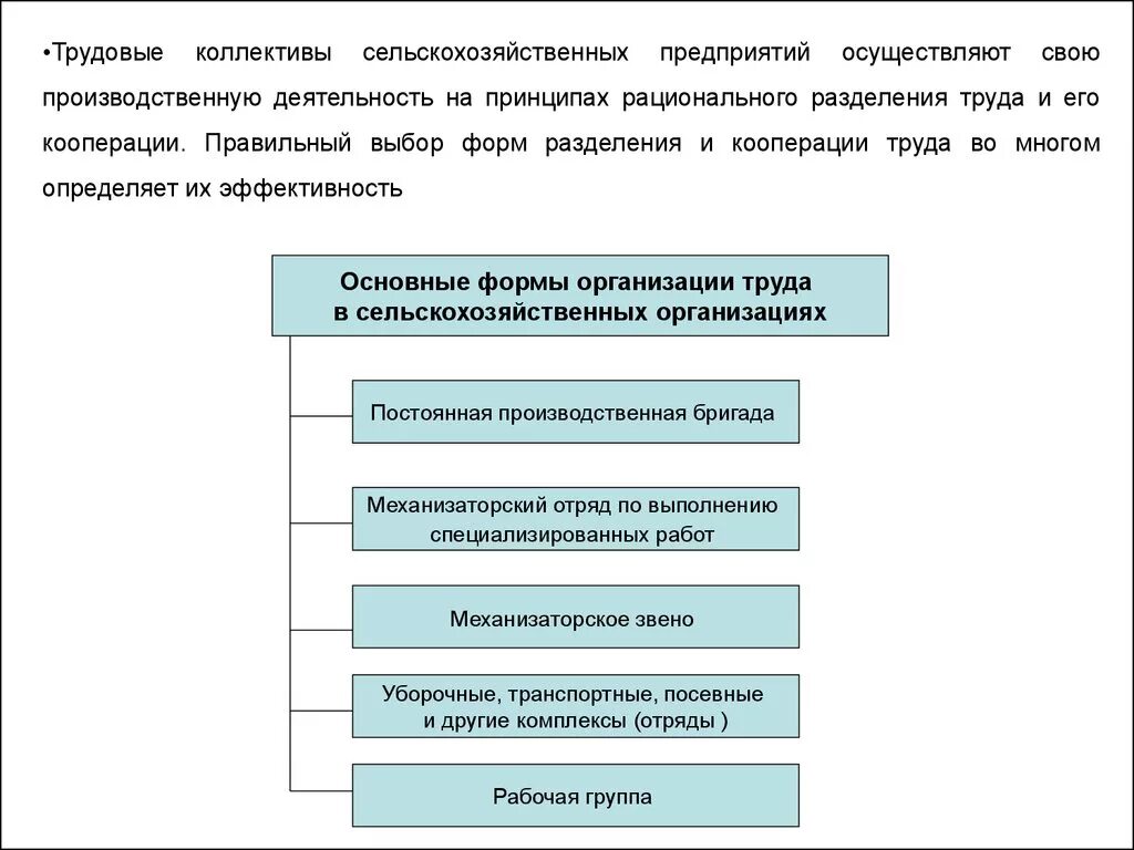 Формы трудовых коллективов в сельскохозяйственных предприятиях:. Организация работы трудового коллектива в сельском хозяйстве. Принципы организации трудового коллектива. Трудовой коллектив предприятия схема. Методы организации деятельности коллектива организации