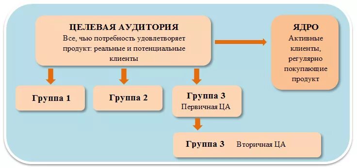 Ядро целевой аудитории. Группы целевой аудитории. Целевая аудитория схема. Описание ядра целевой аудитории. Определение целевых групп