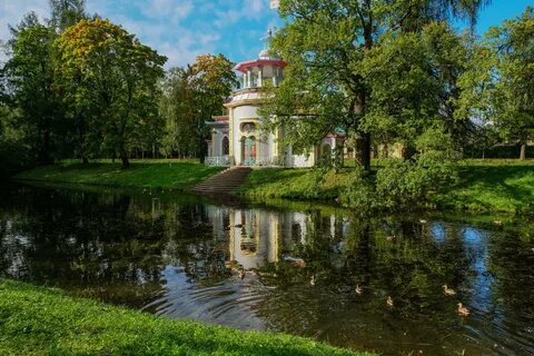 Провести время в пушкине