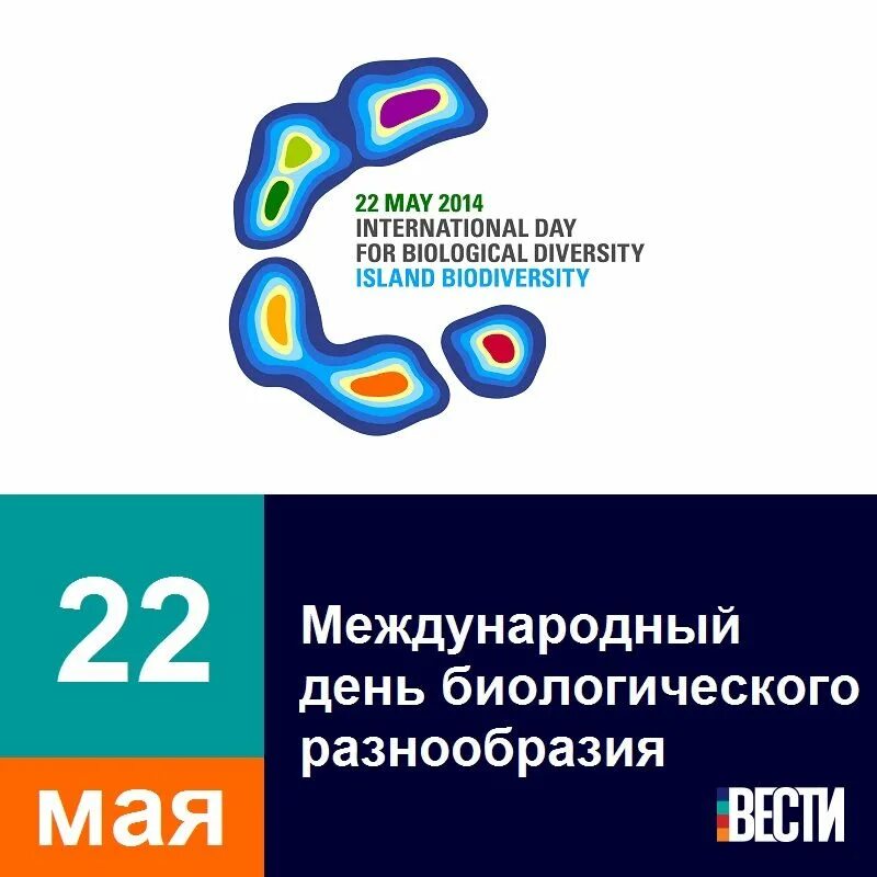 Международный день биологического разнообразия 22 мая сообщение. 22 мая день день биологического разнообразия. 22 мая – международный день биоразнообразия (international day for biological diversity).. международный день биологического разнообразия 22 май. день биологии.