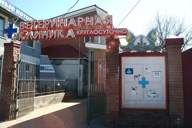 Ветклиники ростов северный. Ветклиника амиго ростов-на-дону на 19 линии. Ветклиники ростов северный. Ветэмбуланс ветклиника. Ветклиники ростов северный.