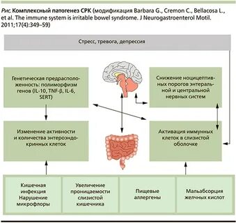 Срк кишечника форум отзывы