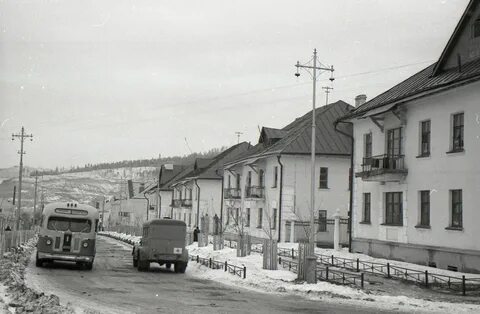 1950 2000 год