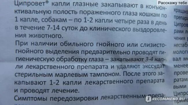 Сколько капель можно капать в глаза. Глазные капли после операции. Капли для глаз для закапывания перед операцией. Метенорм капсулы инструкция.