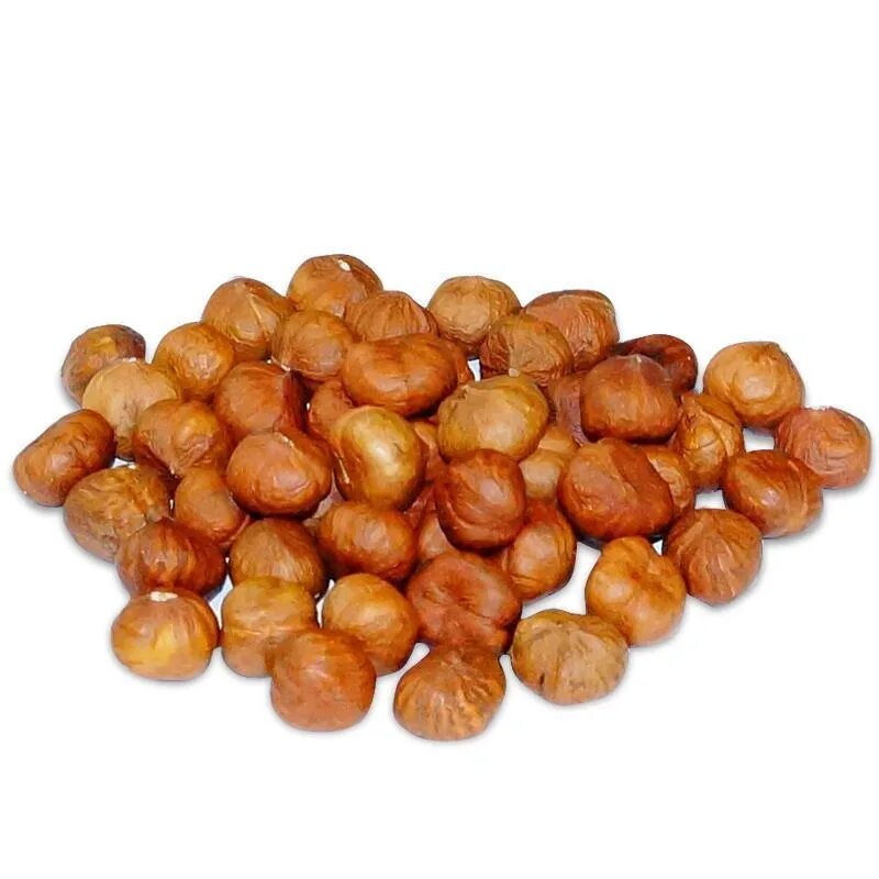 Миндаль орех. Орех фундук один. Орешки для детей. Грецкий орех на белом фоне. Лесной орех один.