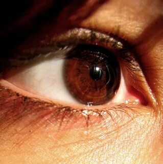 Brown 1 eyes