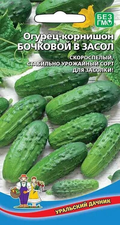 Бочковые огурцы. Огурцы грунтовые. Огурец бочковой засол 0,5г. Бочковой огурец фото. Огурец бочковой.