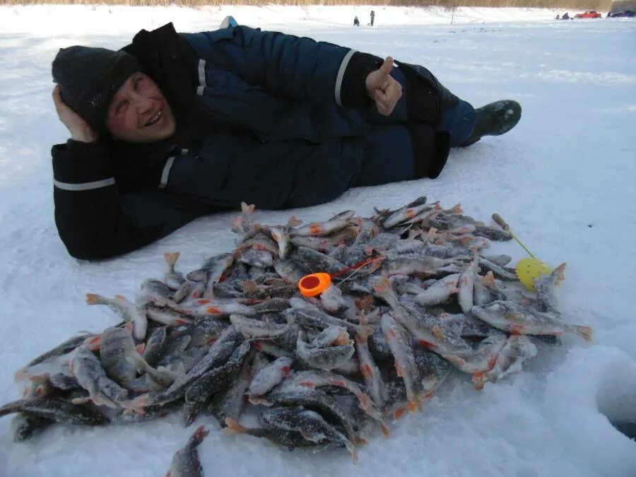 Зимняя рыбалка на Сузуне. Сузун рыбалка. Рыболовство НСО. Рыбалка на Оби Новосибирск. Вести с водоемов новосибирска сегодня