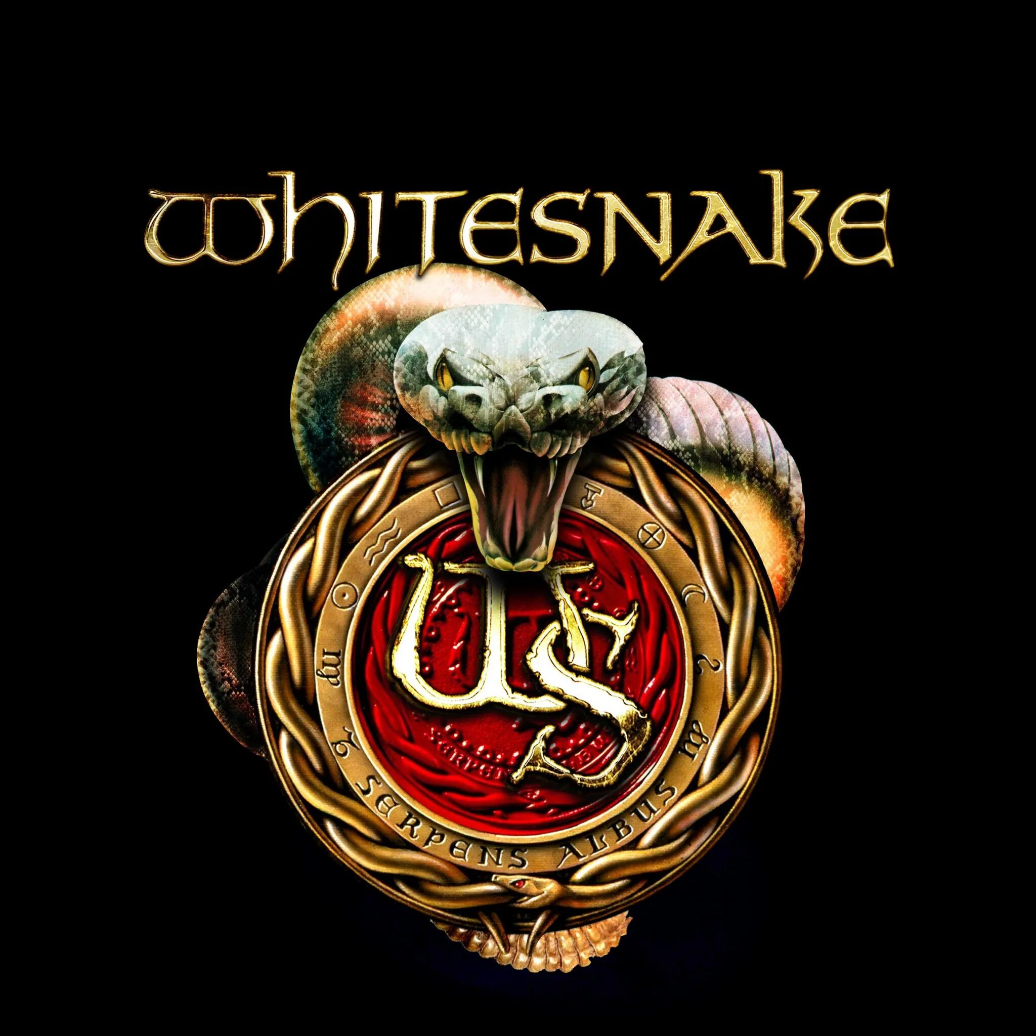 Уайт снейк. Whitesnake обложка. Whitesnake 1987 обложка. Whitesnake логотип группы. Группа Whitesnake обложки.