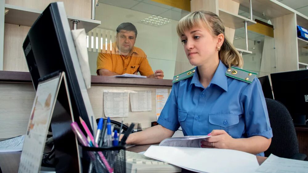 Декларант таможня. Специалист таможенного дела. Специалист по таможенному оформлению. Таможенный инспектор таможенный декларант. Таможенный декларант это