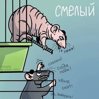 День крысы картинки прикольные с надписями