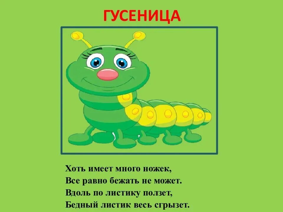 Загадка про гусеницу. Детские стихи про гусеницу. Стишок про гусеницу для малышей. Стихи для детей про гусеницу для дошкольников.