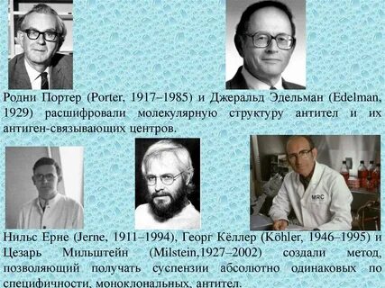 Портер кратко