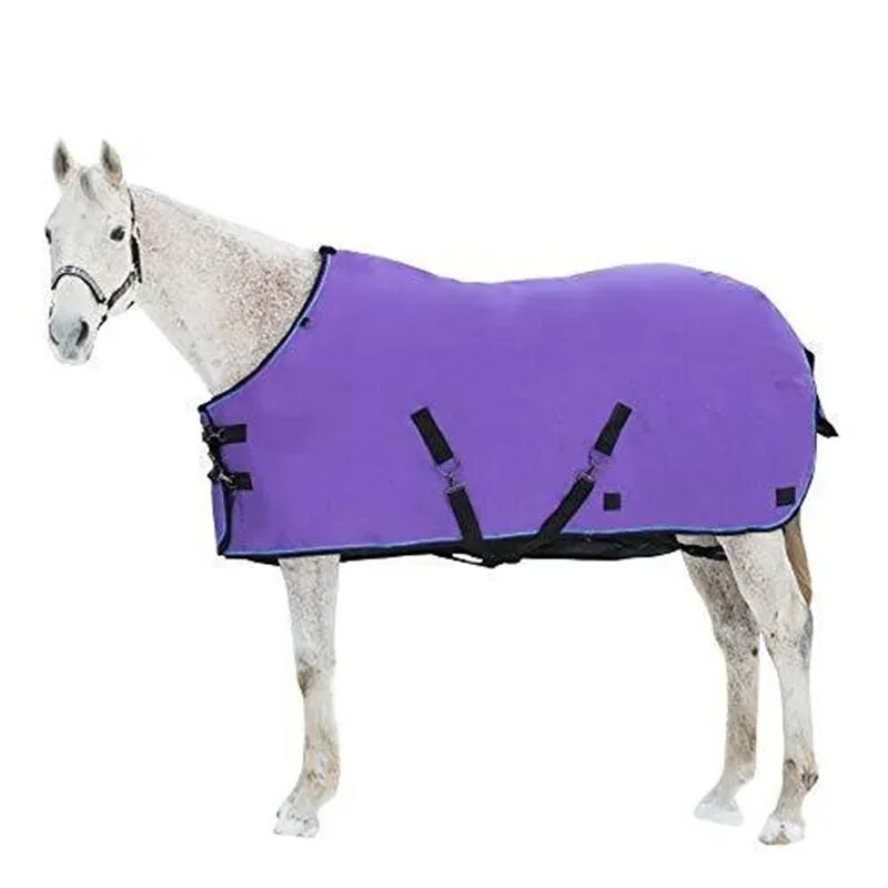 Horse blanket girl оригинал. Horse blanket. Лошадь на вираже. Лошадь двушка в одеяле. Шамбарьер для лошади.