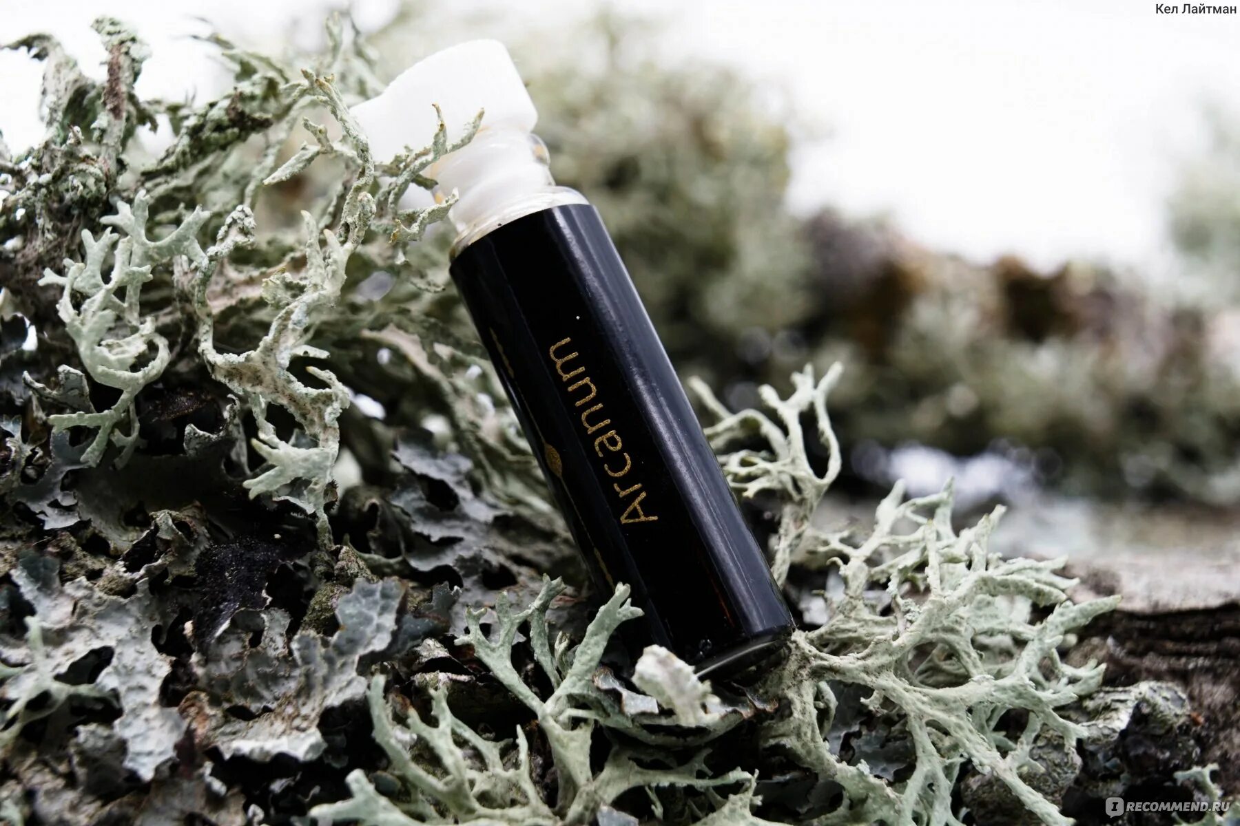 Vert insight incarna parfums. Vert insight incarna parfums