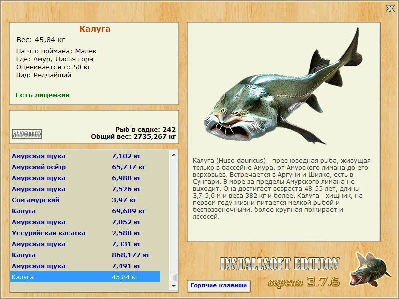 желтощек реальная рыбалка