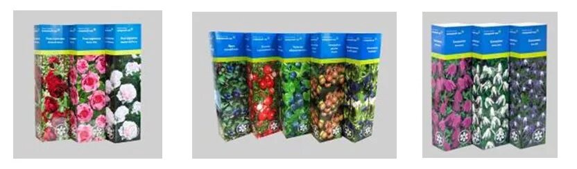 Поиск интернет магазин саженцев каталог 2023. Salix serpyllifolia. Саженцы агрофирмы. Поиск интернет магазин саженцев каталог 2023. Поиск интернет магазин саженцев каталог 2023.