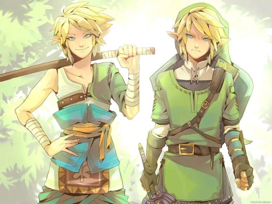 Линк Легенда о Зельде. Линк арт the Legend of Zelda. Одежда линка the Legend of Zelda. Their link link