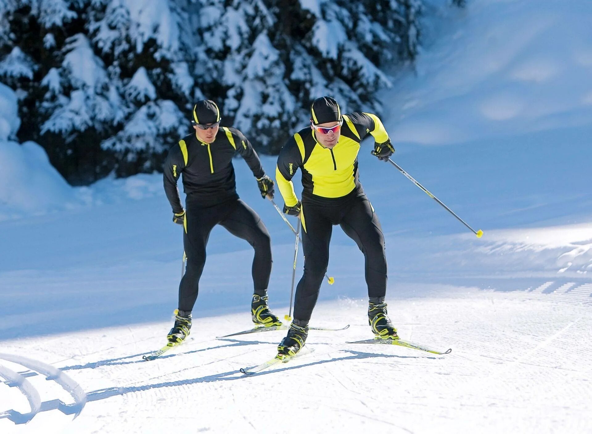 Cross Country Skiing. Лыжные гонки. Лыжник. Бегущий лыжник. Skiing cross country skis