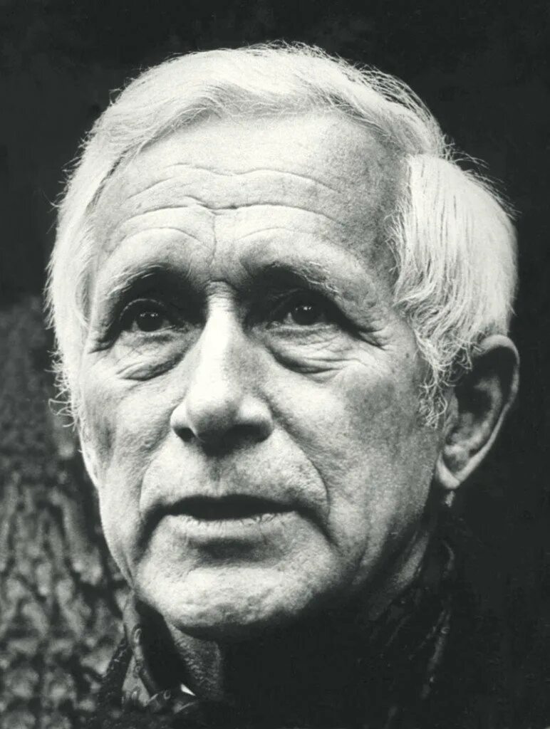 Автор эрнст. Эрнст юнгер. юрген эрнст. эрнст юнгер писатель. эрнст яннинг.