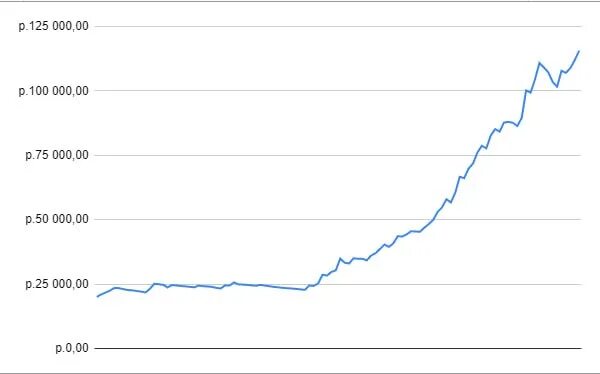Правило 50 30 20. Система 50 30 20. Инвестиции 20. Горизонт расчета проекта это. Инвестиции 20.