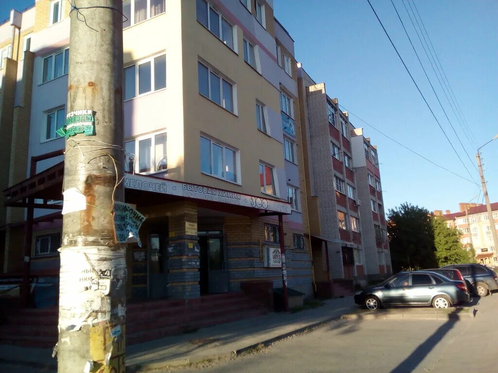 Рассрочка логотип. Ресторан сосны пенза. Турагентство бор. Ателика лесная бухта. Турагентство бор.