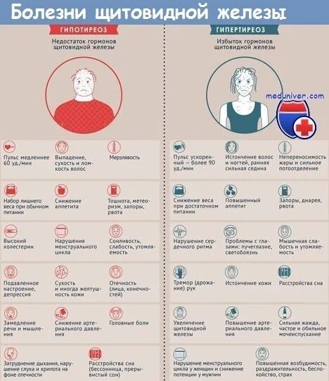 Щитовидная железа за что отвечает у мужчин. Щитовидная железа симптомы заболевания. симптомы болезни щитовидной железы. щитовидная железа симптомы заболевания у женщин. что такое щитовидка симптомы заболевания у женщин.