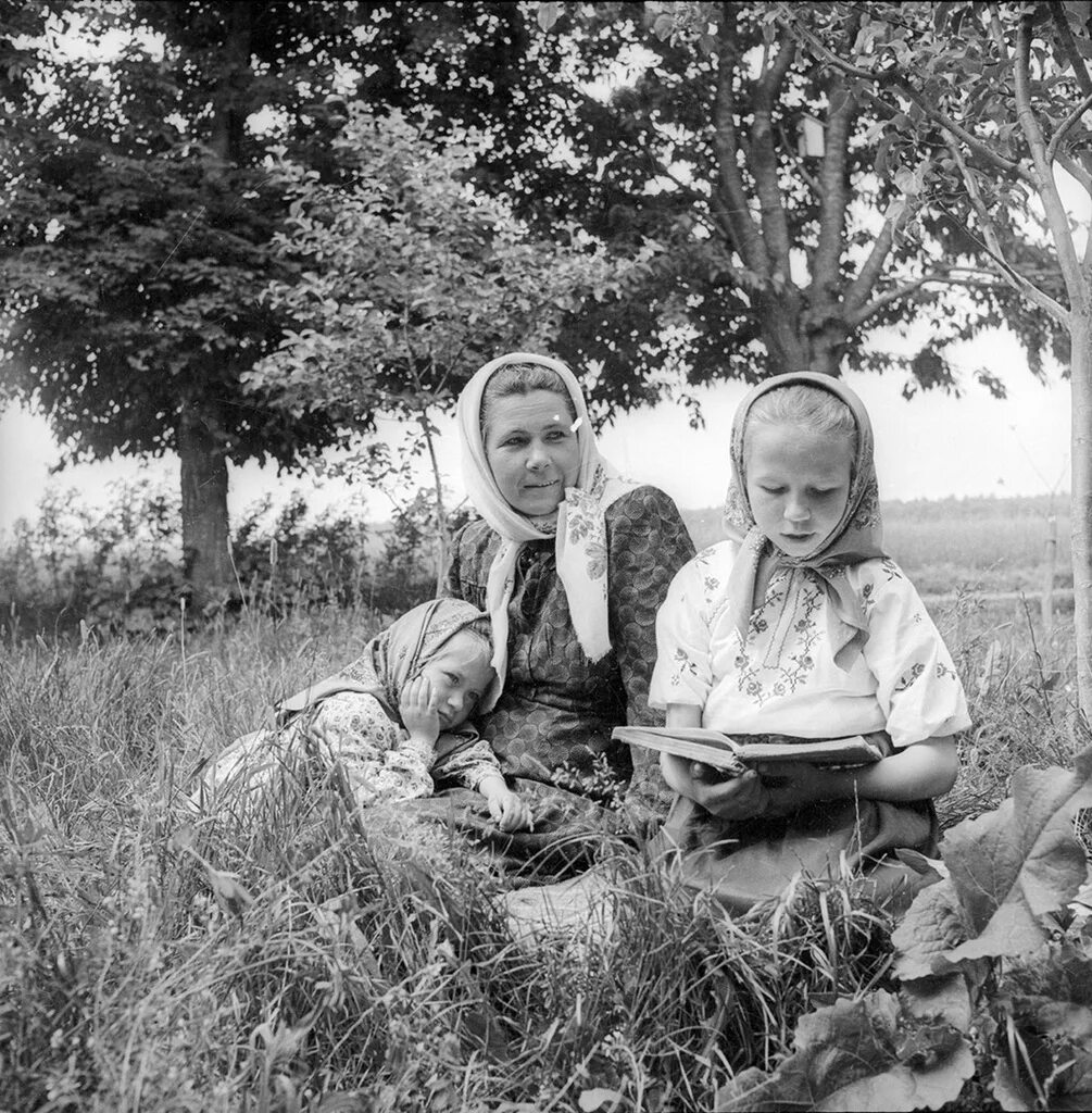 Совхоз гигант. Совхоз гигант 1929 год. совхоз год. совхоз гигант ростовской области. совхоз гигант советские годы.