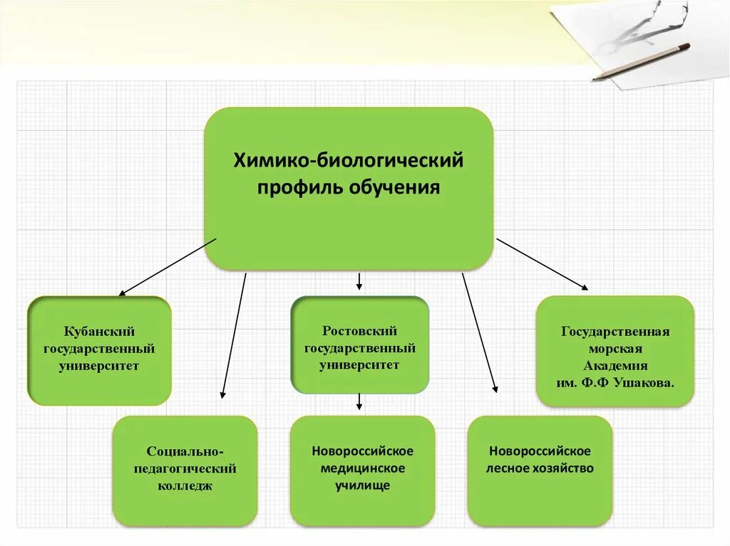 Химико-биологический профиль. Химико-биологический профиль в школе. Профильные классы химико биологический. Химико-биологический профиль профессии.