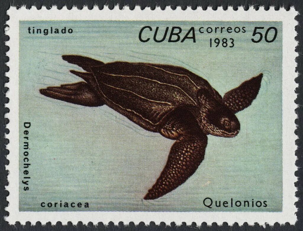 Марки кубинские черепахи. Марки Куба черепахи 1983. Марка Куба correos 1983. 1983 Год животное.