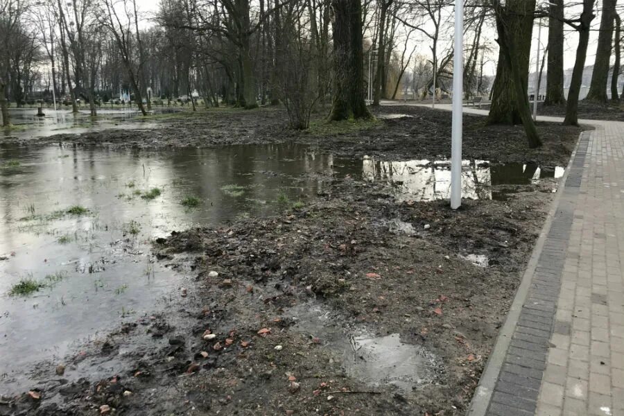 Северный парк затопило. Воронеж затопило. Северный парк затопило. Затопляемый парк. Лесопарк затоплен.
