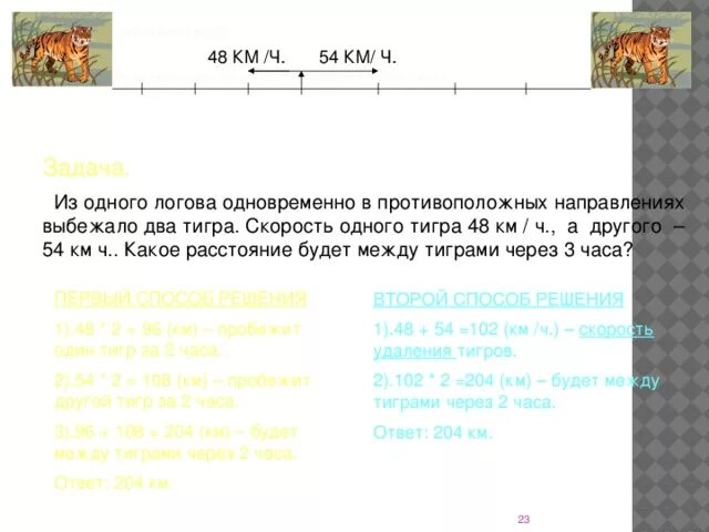 Тигр погнался за оленем и догнал. Скорость тигра км/ч. Максимальная скорость тигра. Сколько бежит тигр км/ч. Какую скорость развивает тигр.