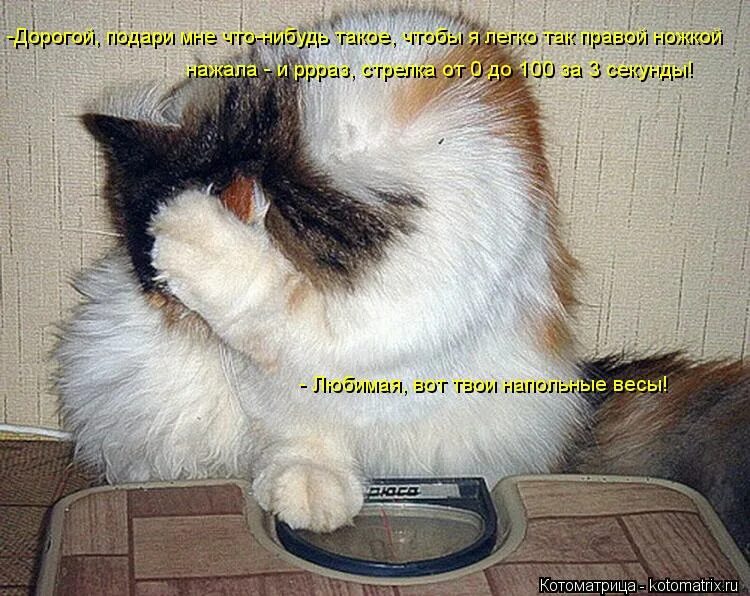 Что делать?. Коты демотиваторы. Что нибудь такое вот. Душный мем. Что нибудь такое вот.