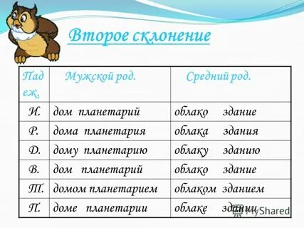 Морковка склонение