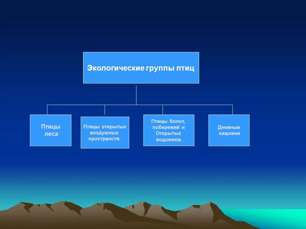 Природная группа. Экологические группы птиц схема. Название экологических групп птиц. Экологическая группа птицы болот. Кластер экологические группы птиц.