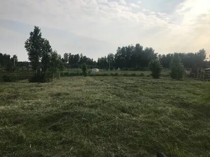 Боровых участок