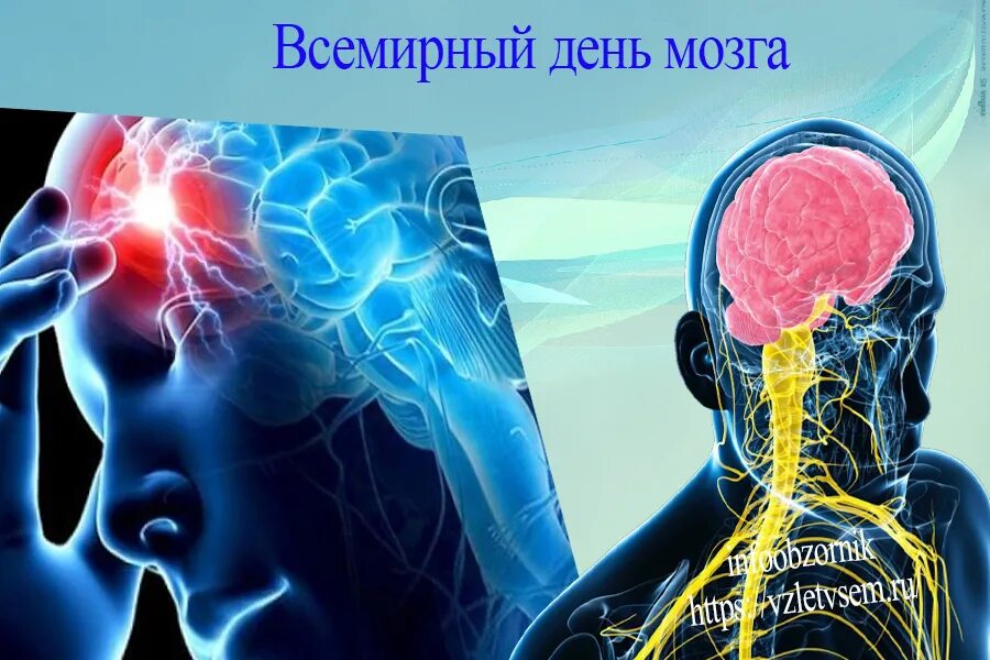 Когда день мозгов. День мозга. Международный день мозга. День мозга картинки. Всемирный день головного мозга.